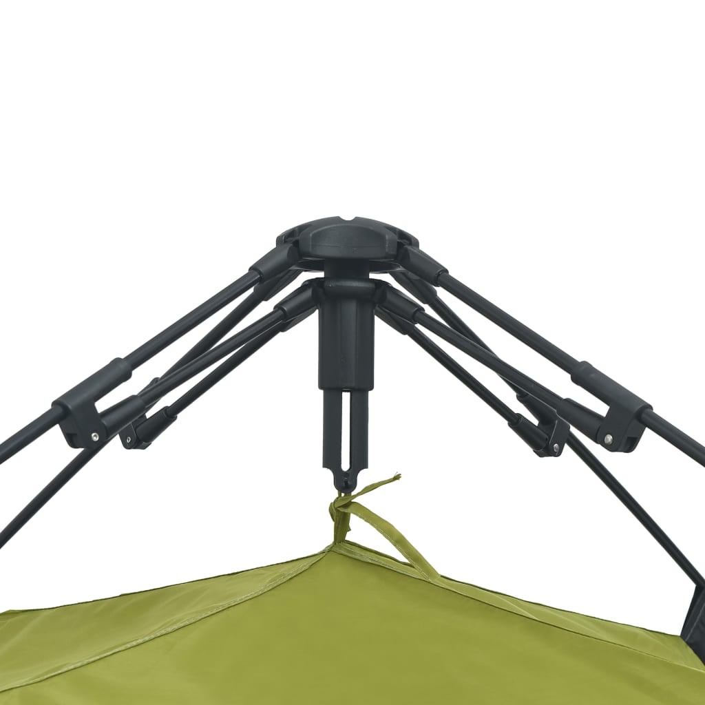 Pop Up Beach Tent 220x220x160 cm Green